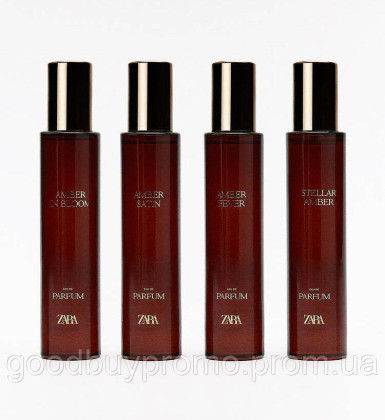 Колекція Zara Amber